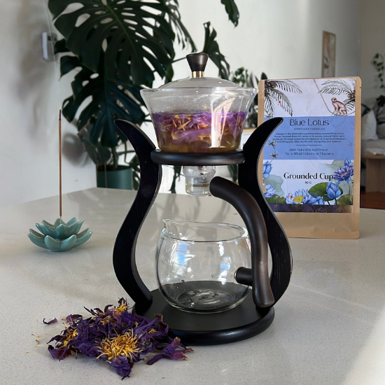 Blue Tea Making Flower How to Make Blue Lotus Tea